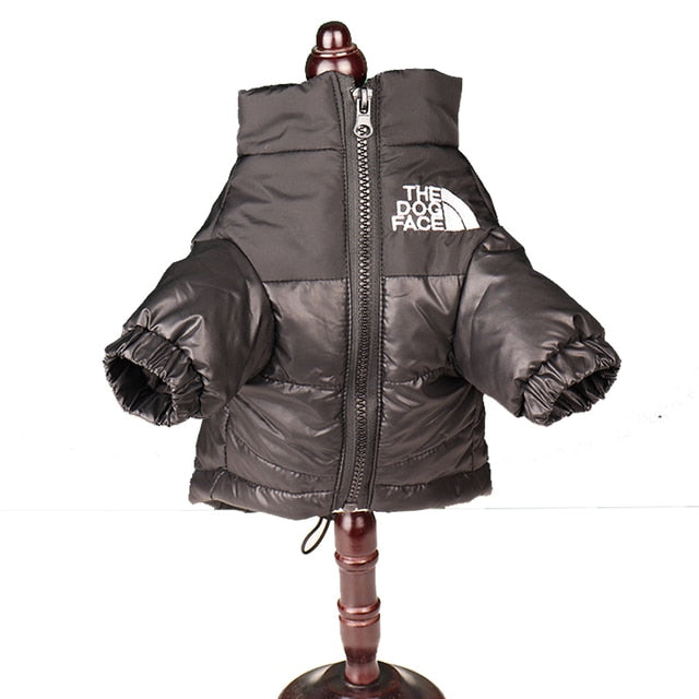 The Dog Face Winter Down Jacket