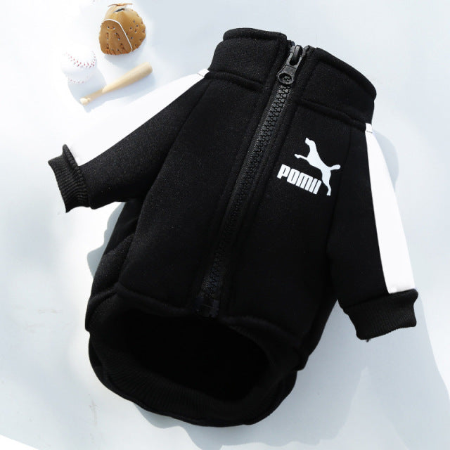 Designer Winter Dog Sweatjacket