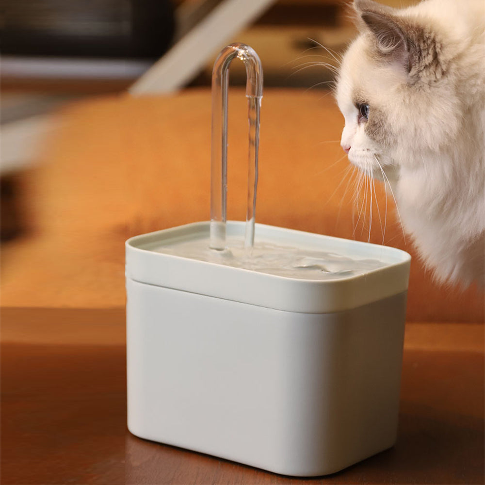 Water Fountain For Pet's