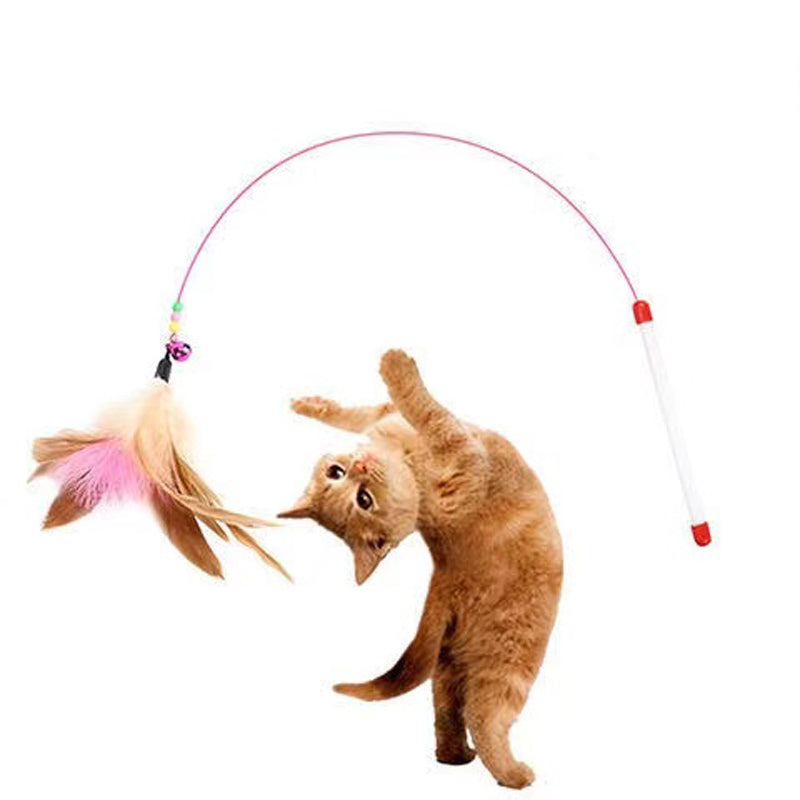 Feathers Tease Cat's Toy